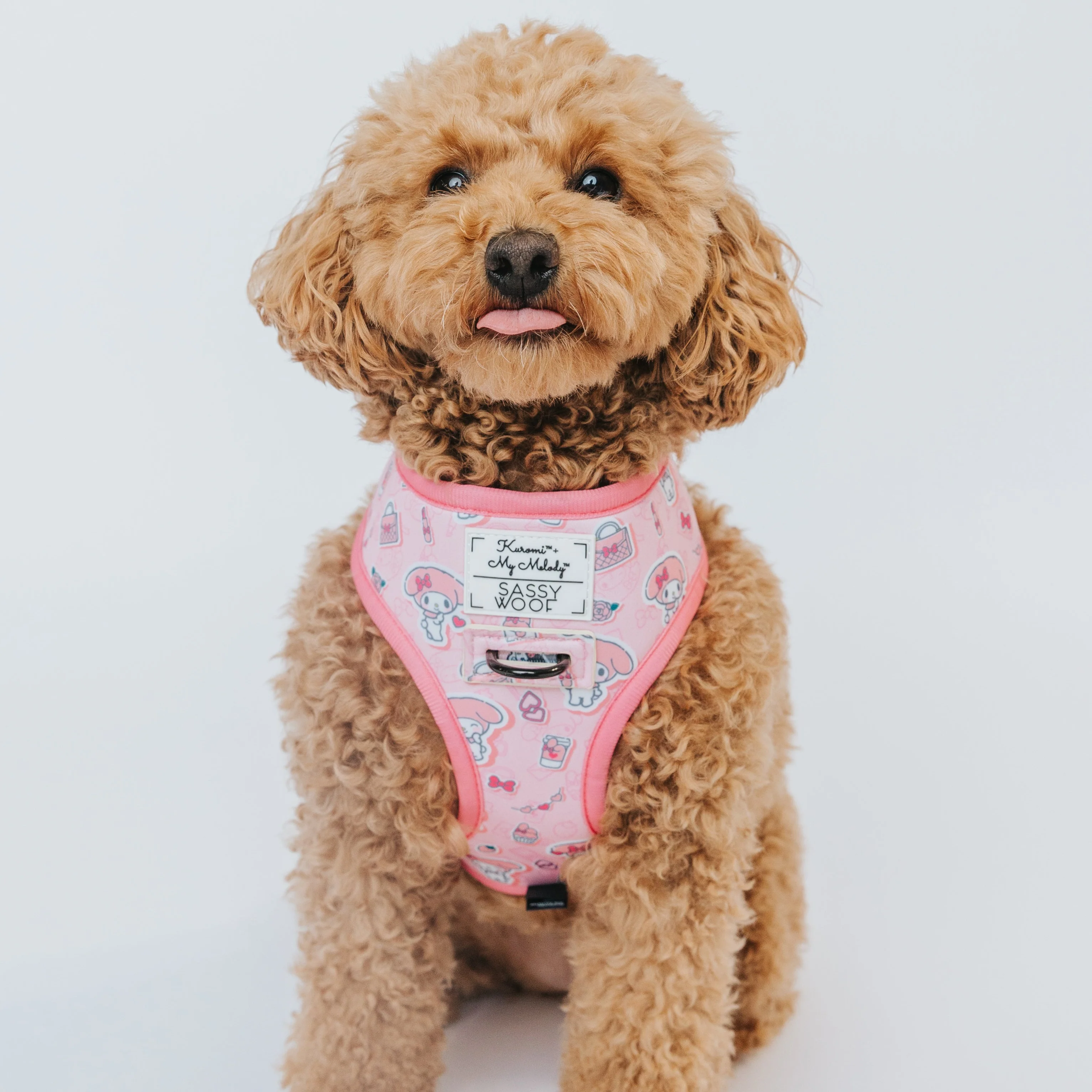 My Melody & Kuromi x Sassy Woof Reversible Dog Harness - Image 2